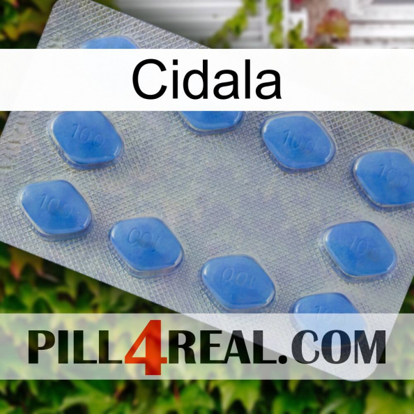 Cidala 21